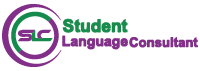 student carrer consultant